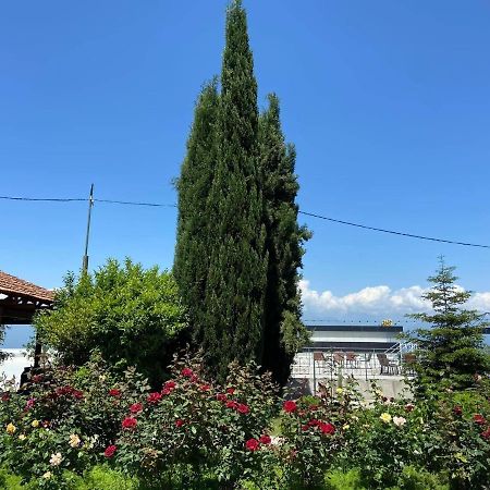 Alazani Valley Hotel Telavi Exterior photo