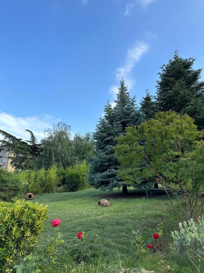 Alazani Valley Hotel Telavi Exterior photo