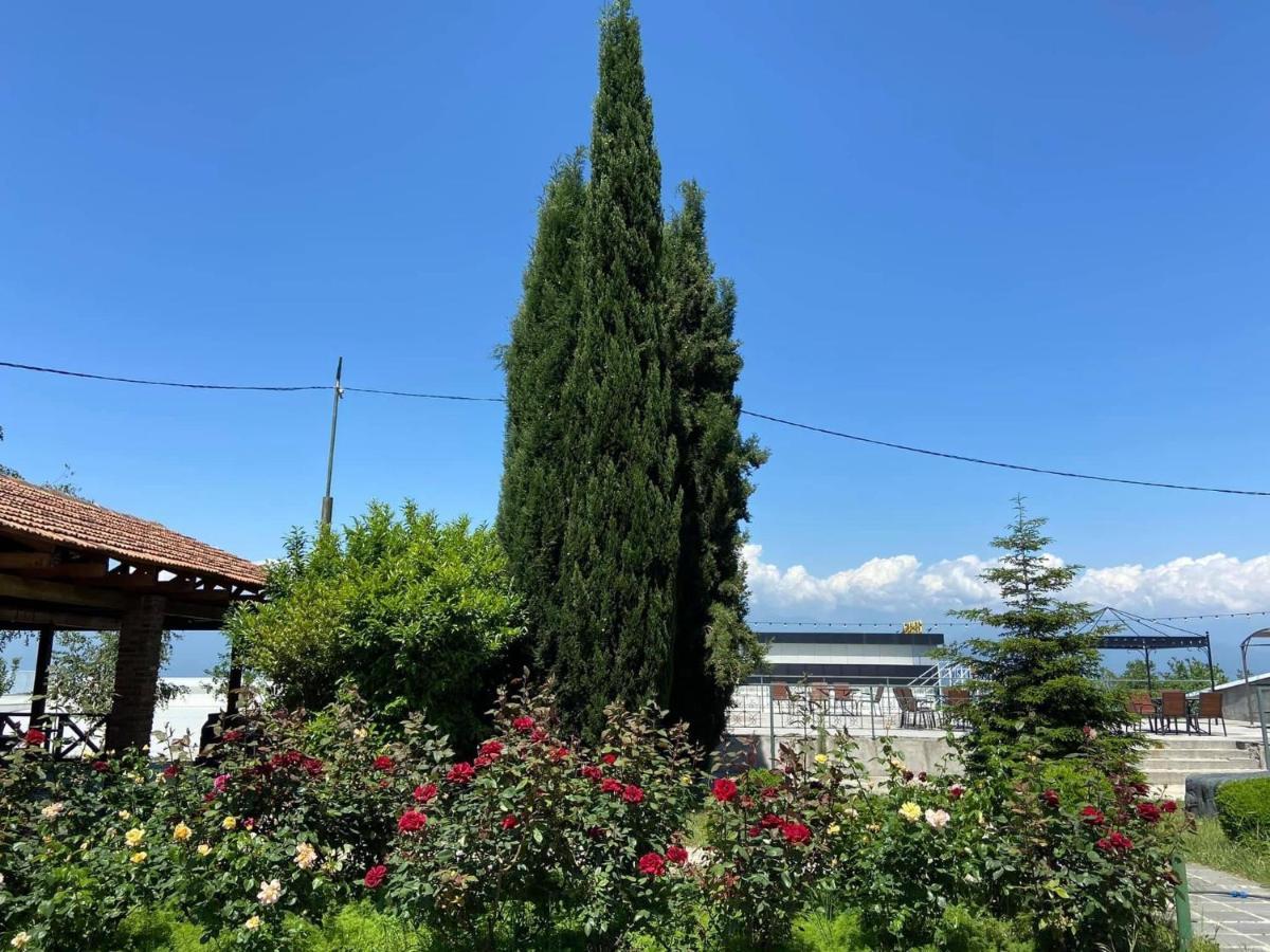 Alazani Valley Hotel Telavi Exterior photo